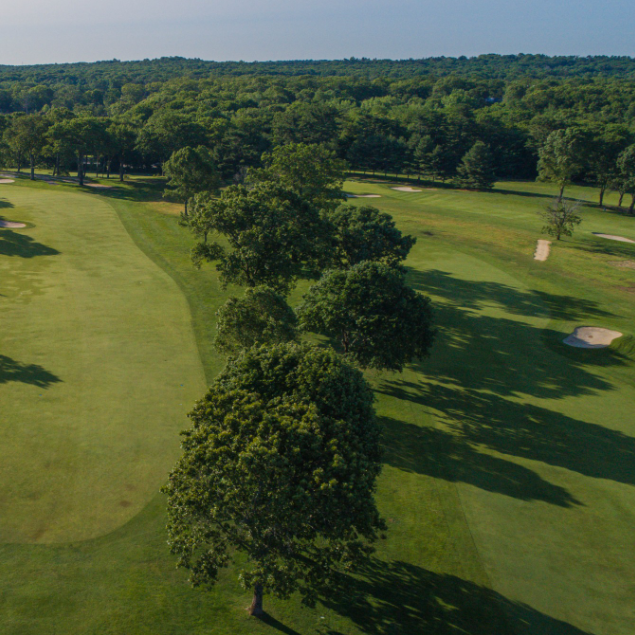 The B41 Bus: Exploring the Unseen Heroes of New York City's Public Transportation System